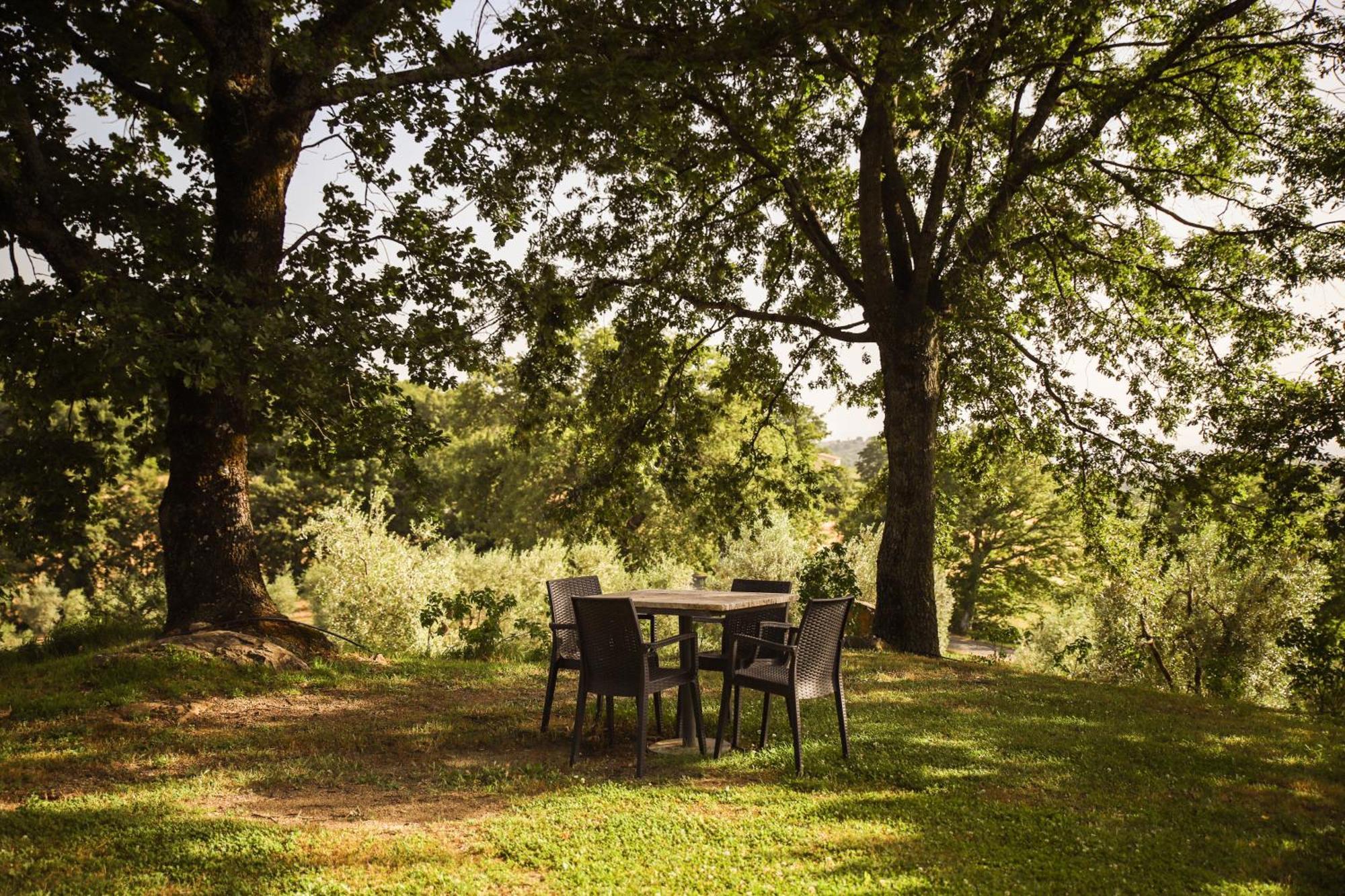 Bio Agriturismo Poggio Aione Saturnia Bagian luar foto